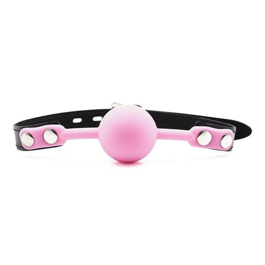 Pink Ball Gag