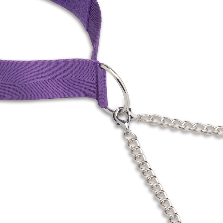 Collar & Nipple Clamps - Purple